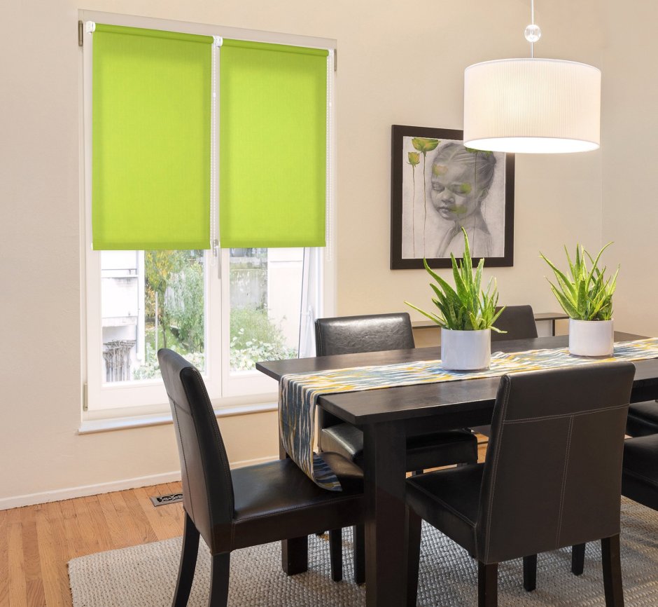 Рулонные шторы Дельфа