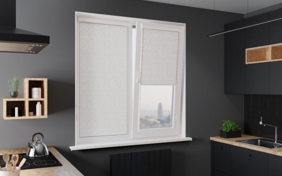 Рулонные шторы MGS Зебра