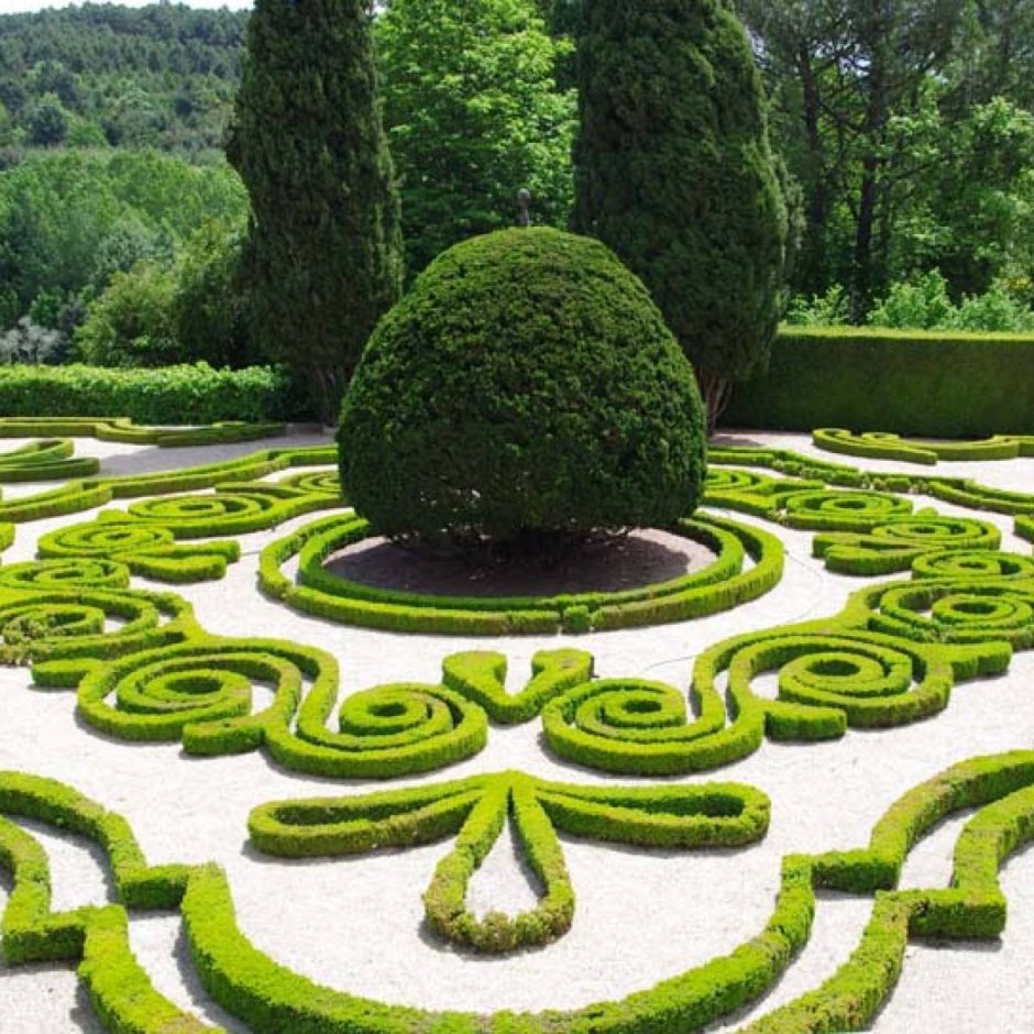 Шан-де-Батай регулярный стиль