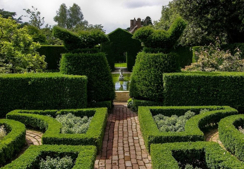 Кизильник Боскет