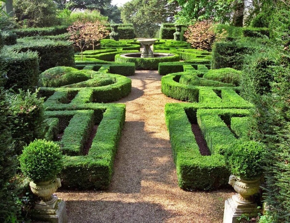 Топиарное искусство Версаль Франция