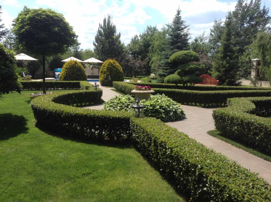 Боскет в ландшафте