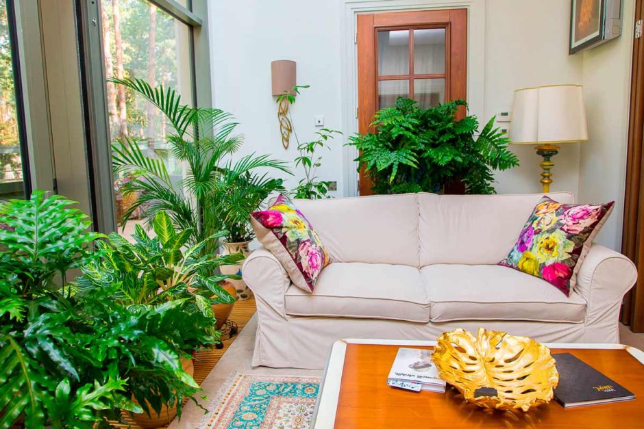 Озеленение интерьера квартиры