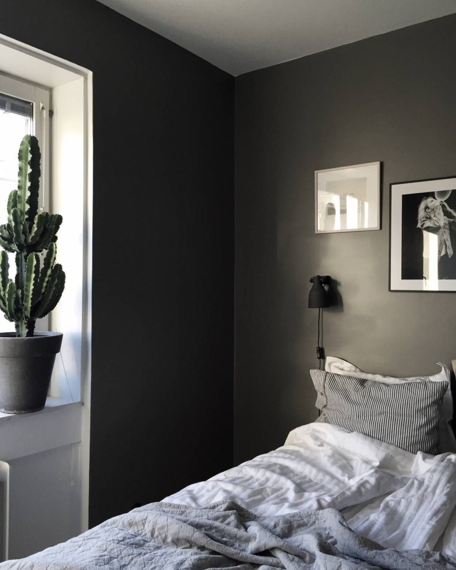 Тёмно серая стена