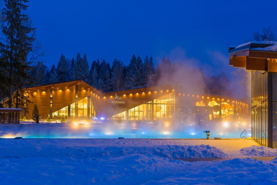 Дорохово лес арт Резорт