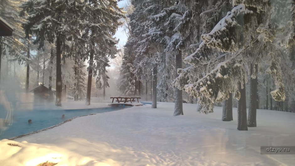 Отель Солнечный в Солнечногорске зимой