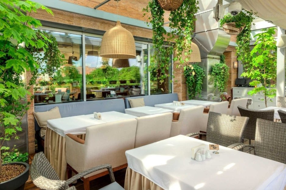 Питер ресторан Terrassa