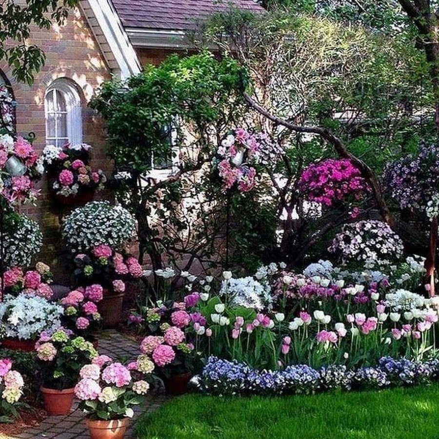 Розы в саду ландшафтный дизайн