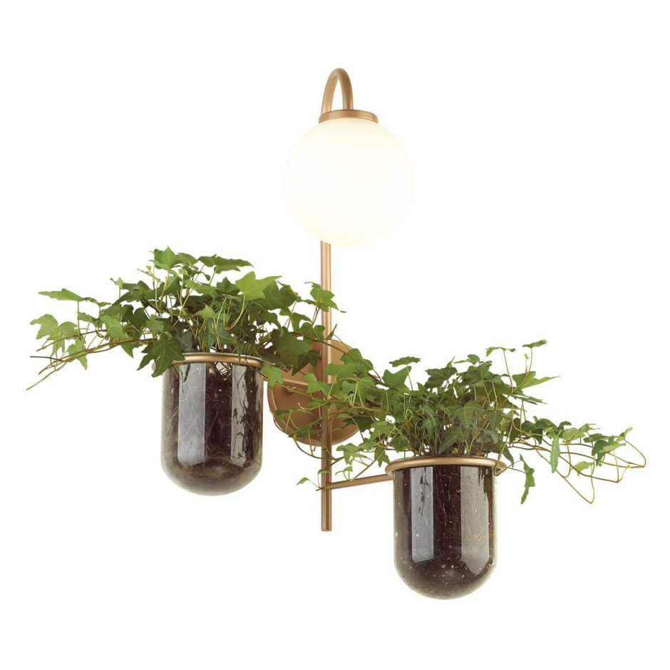 Бра Odeon Light Flower 4682/1w