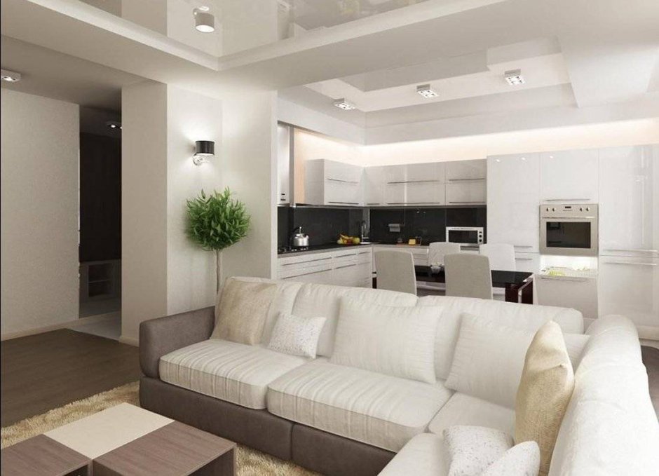 Зонирование кухни-гостиной 20 кв.м