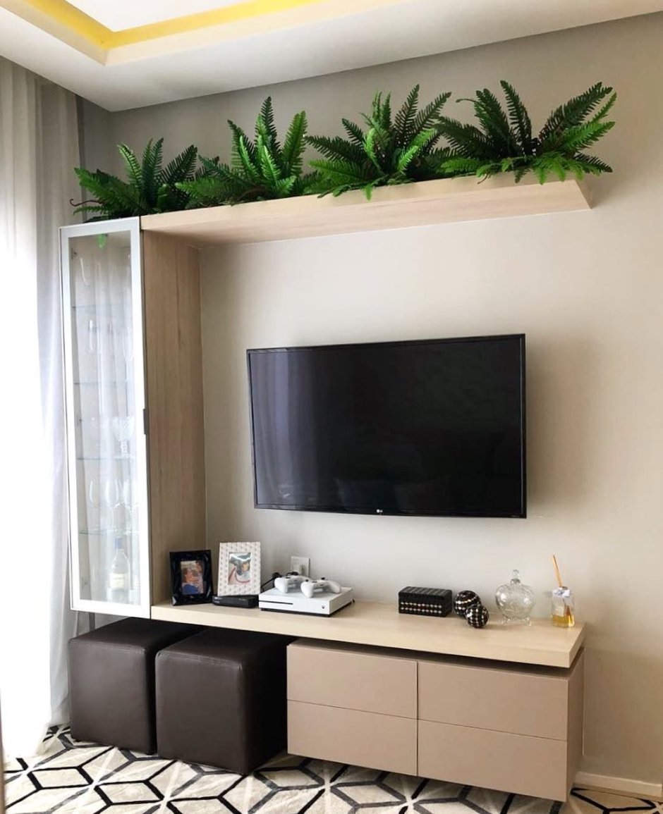 Полка с растениями над телевизором