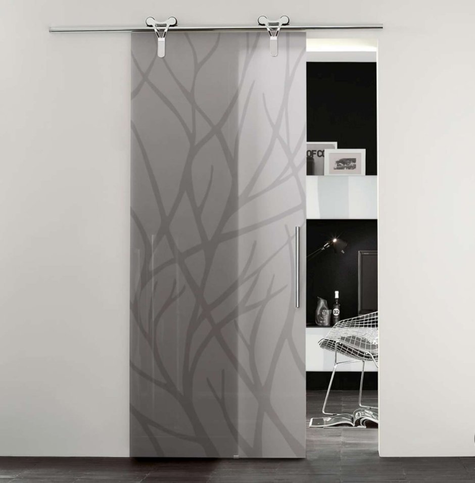 Навесная стеклянная дверь