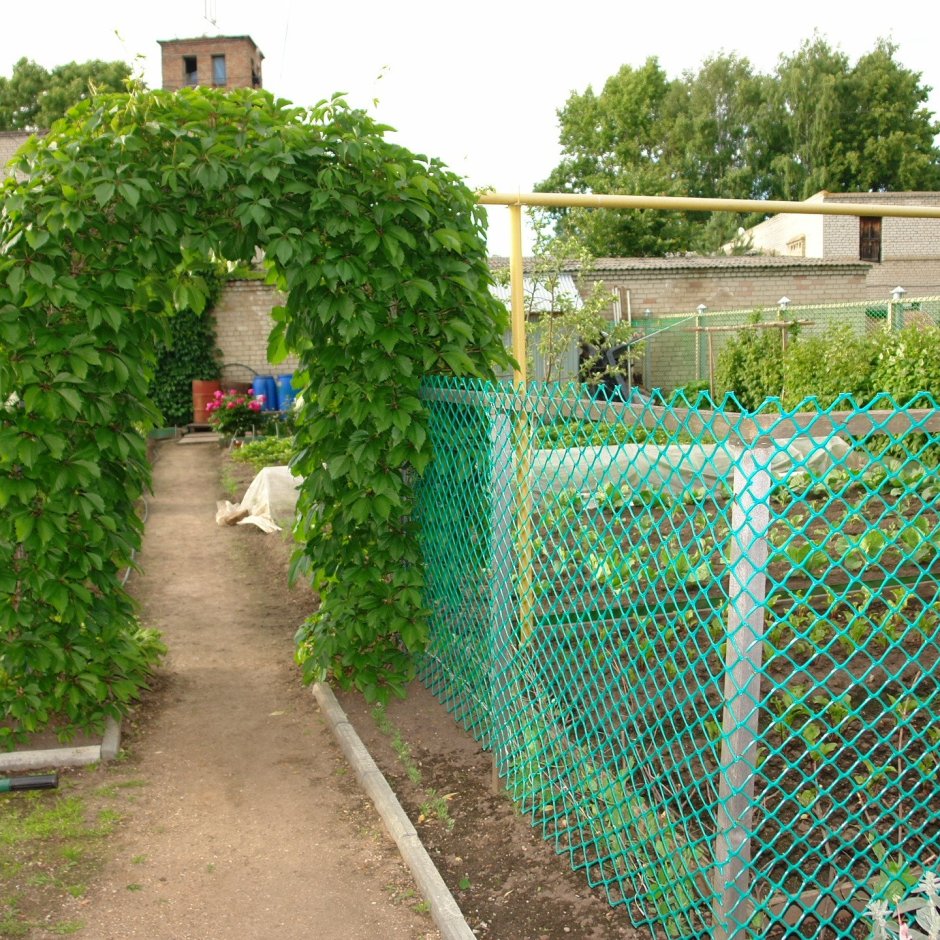 Забор из пластиковой сетки