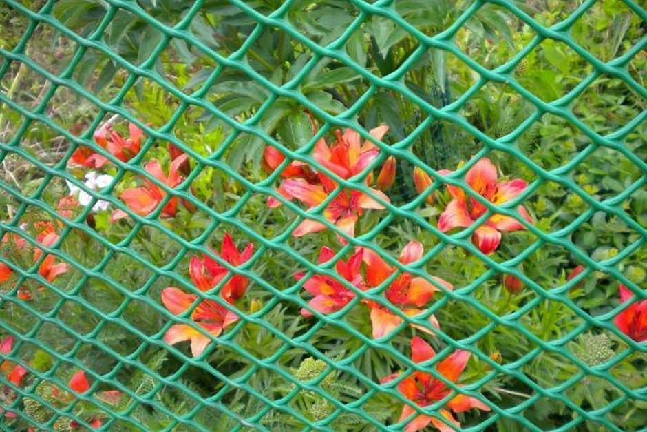 Сетка для клумбы пластиковая