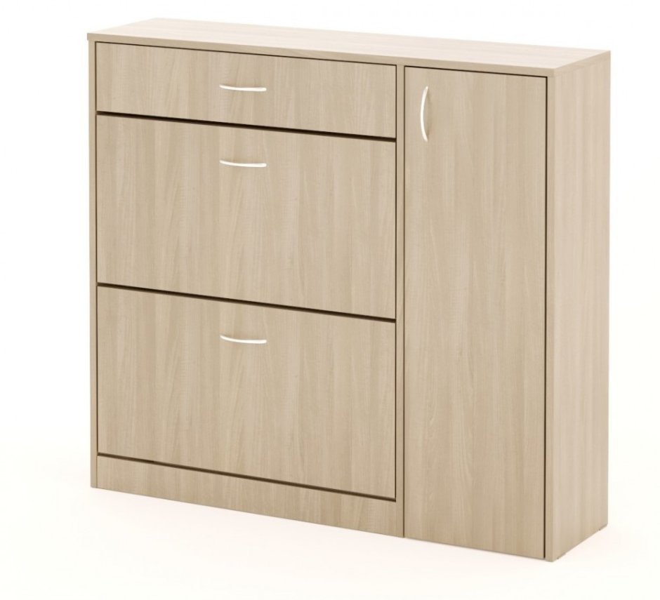 Обувница ясень шимо