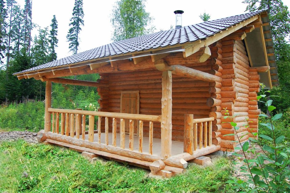 Бани из оцилиндрованного бревна с выносом