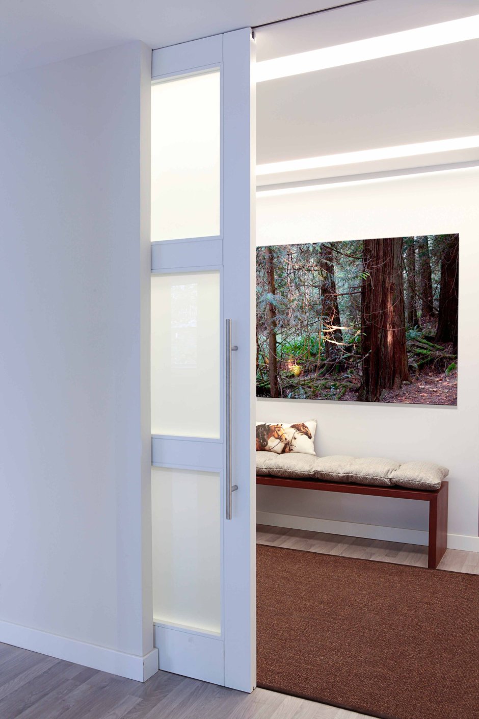 Сдвижная дверь в стену