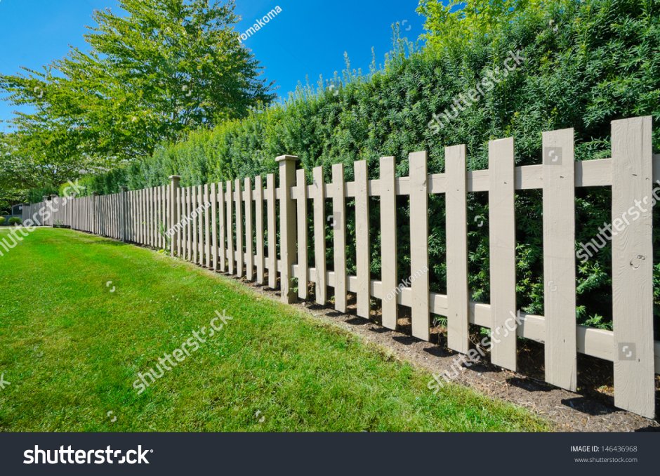 Красивый забор