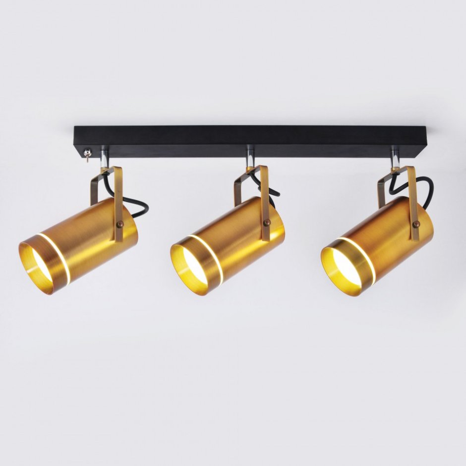 Спот Eurosvet 20063/2 Bronze