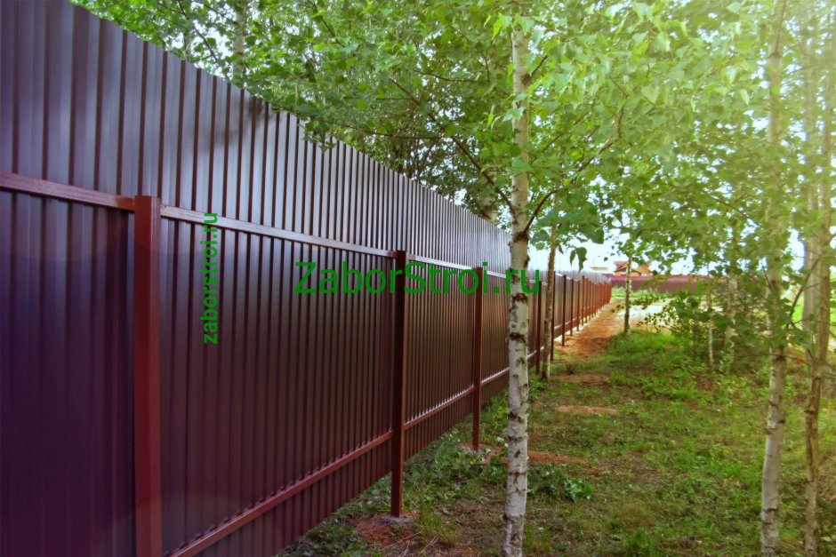 Высокий забор 3 метра