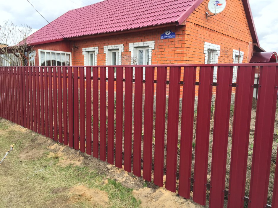 Евроштакетник рал 3005