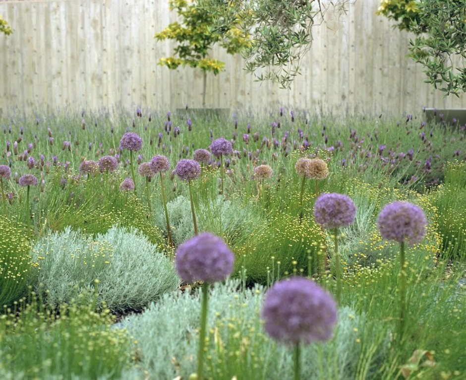 Мордовник и перовския