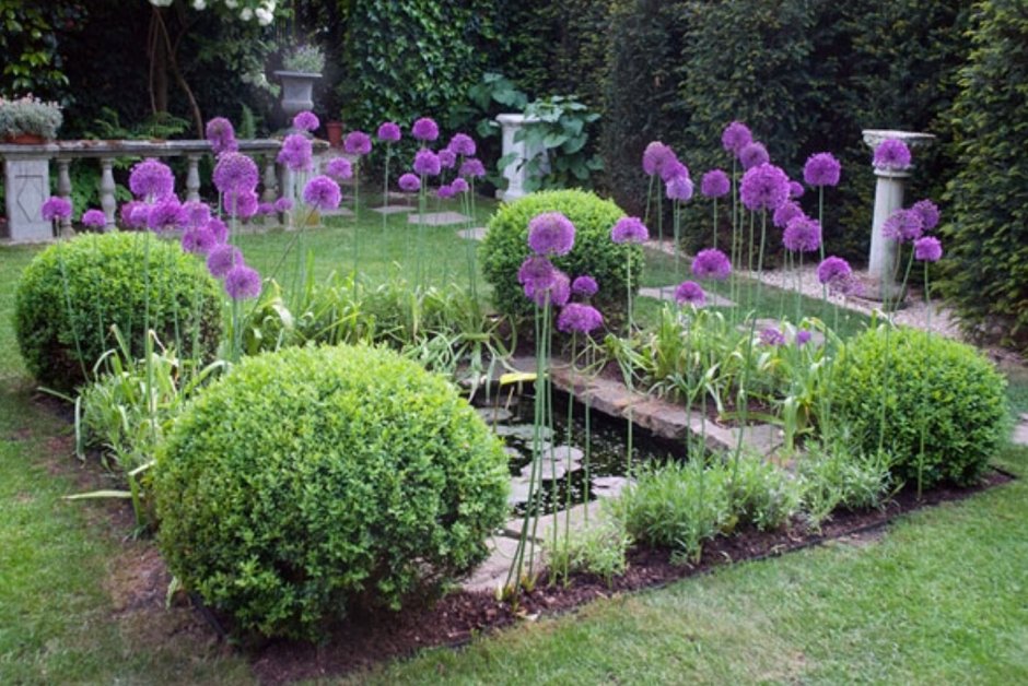 Клумбы из декоративных луков