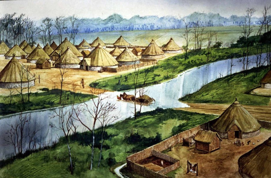 Поселение срубная культура