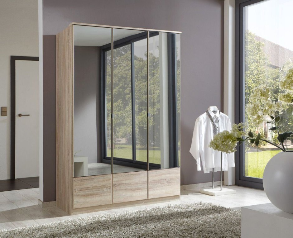 Шкаф-купе Миррор 5-2