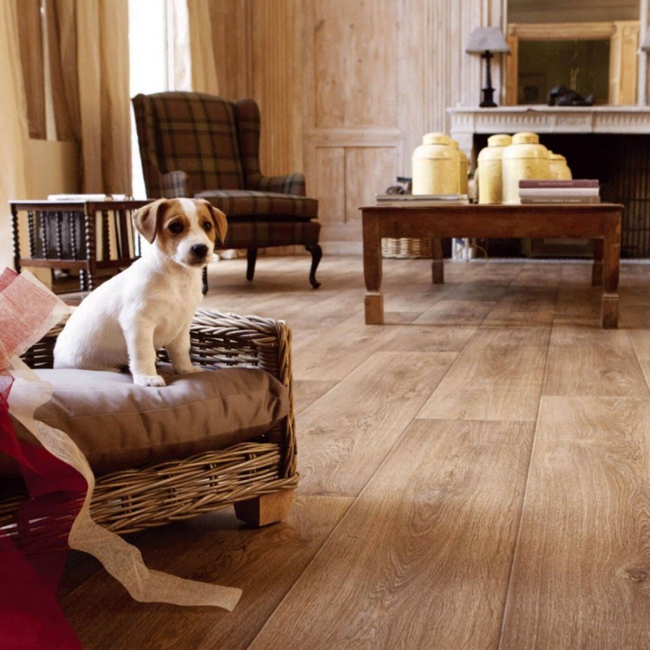 Линолеум комфорт Орегон 1