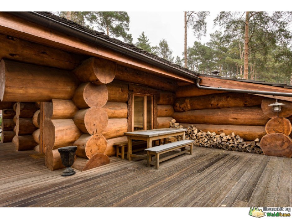 Сибирский кедр сруб горный Алтай