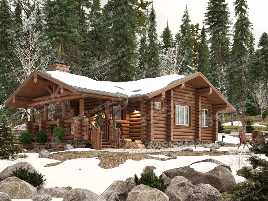 Кело канадский кедр