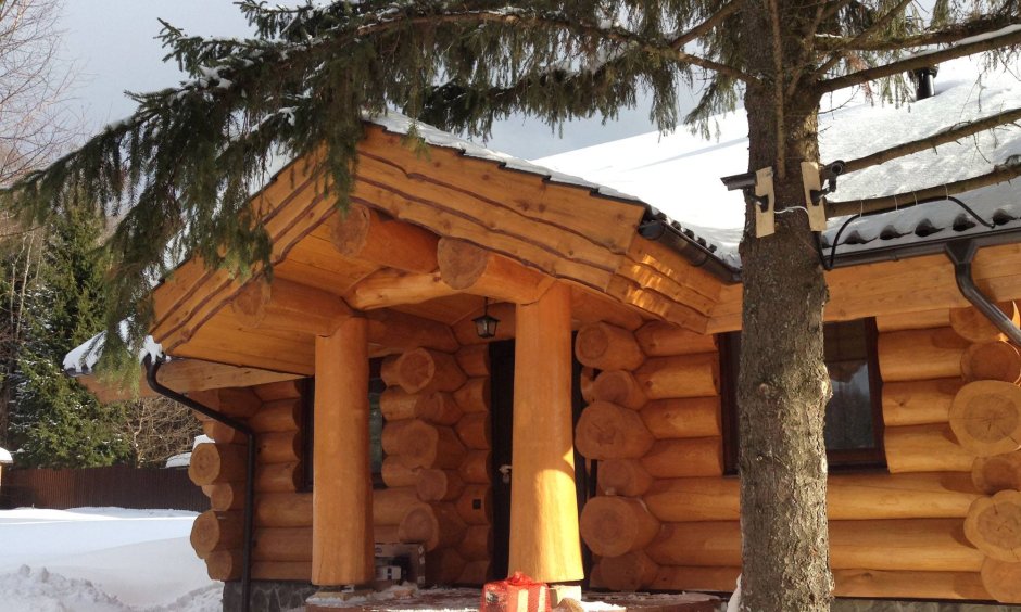 Сибирский кедр сруб