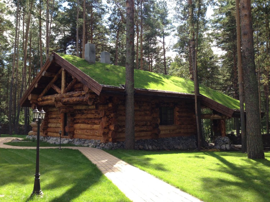 Сибирский кедр сруб