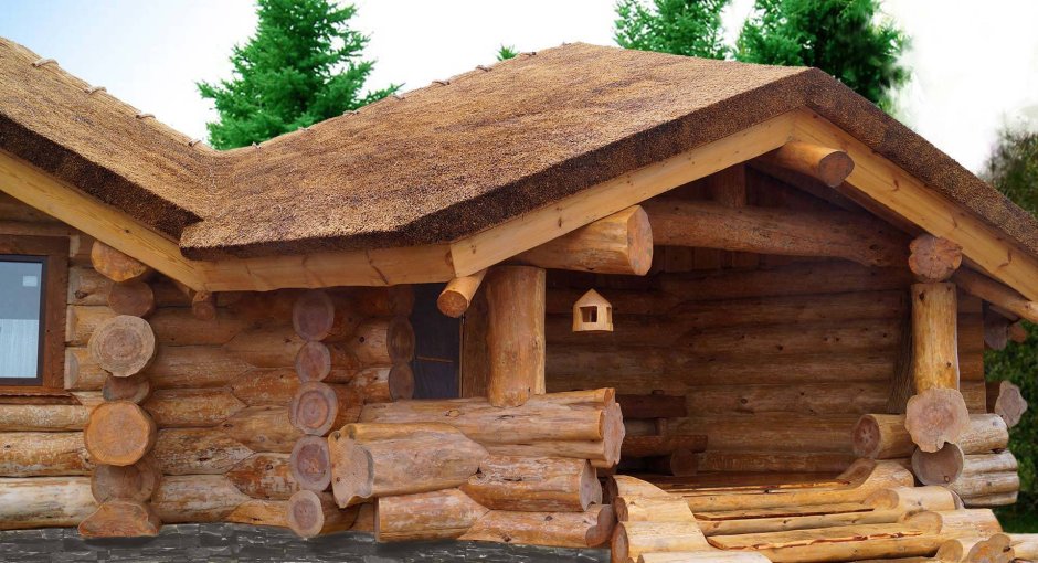 Сибирский кедр сруб