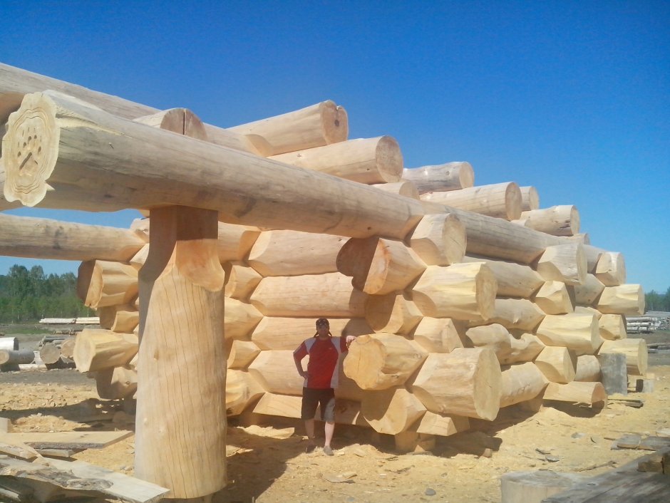 Сибирский кедр сруб
