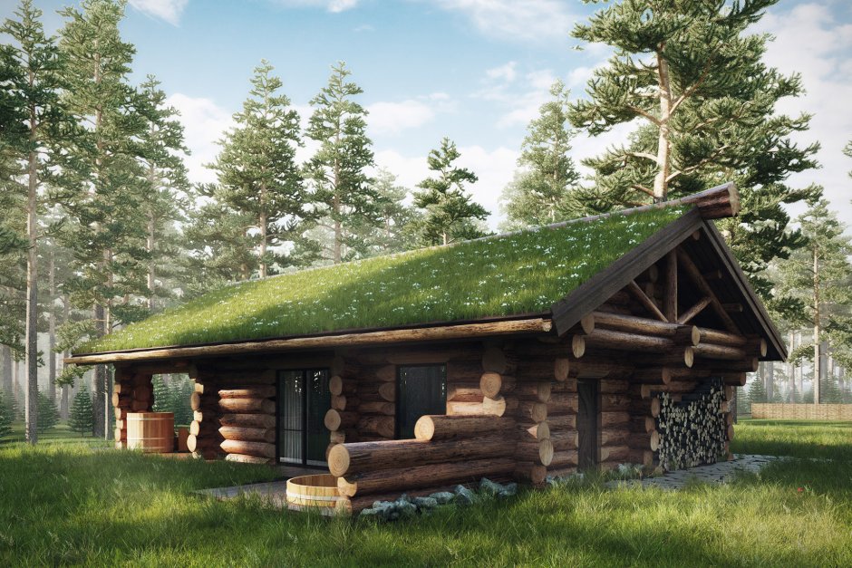 Баня из рубленного бревна