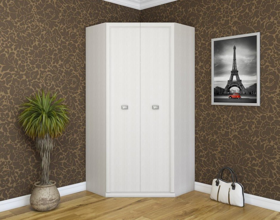 Шкаф Кельн 2д