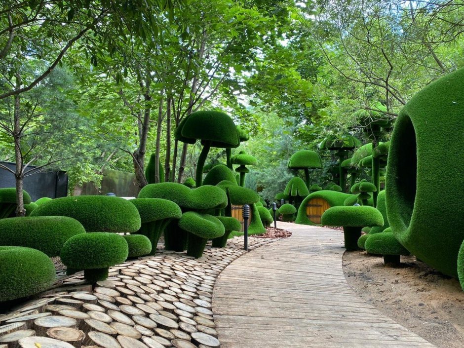 Парк айва в Москве