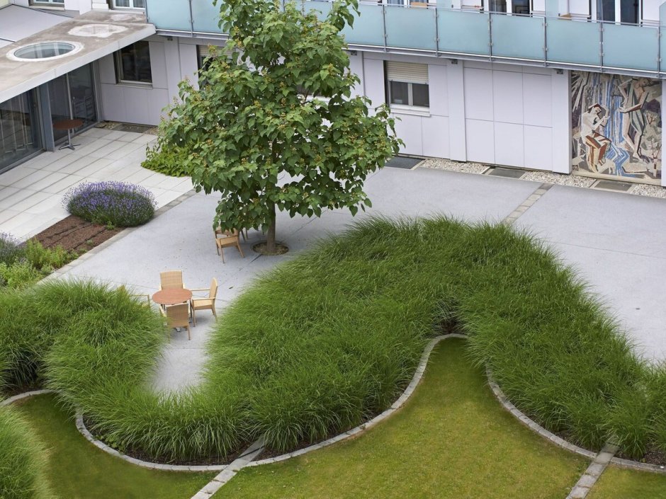 Стивен Холл Архитектор геопластика