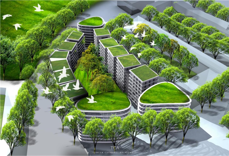 Градостроительство ландшафт