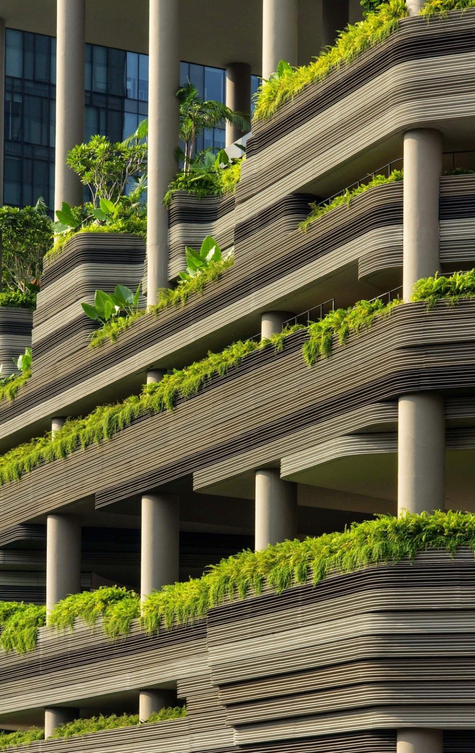 Сингапур ЭКОДИЗАЙН