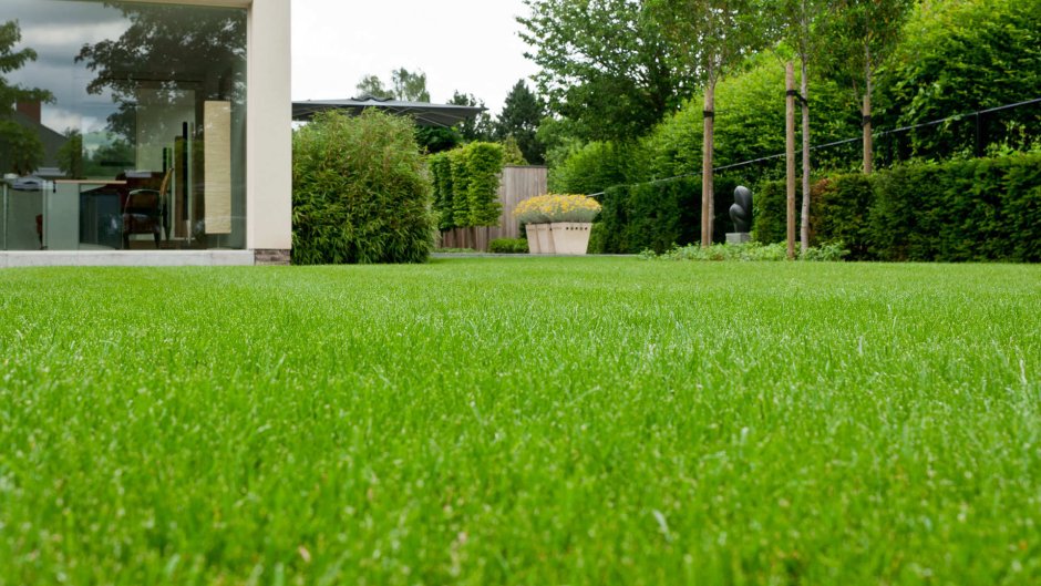 Рулонный газон в саду