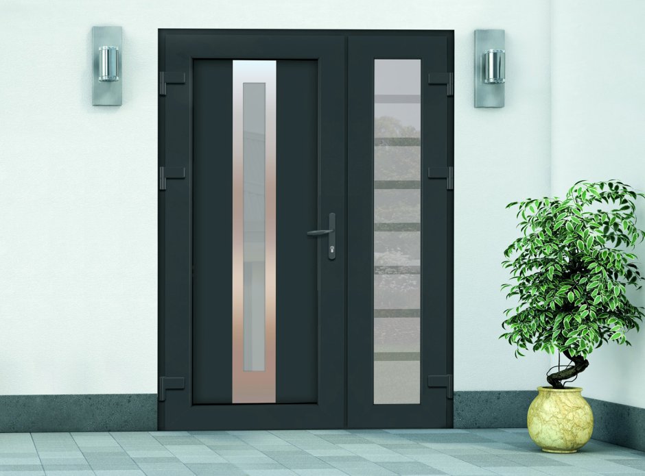 Входные двери WDS