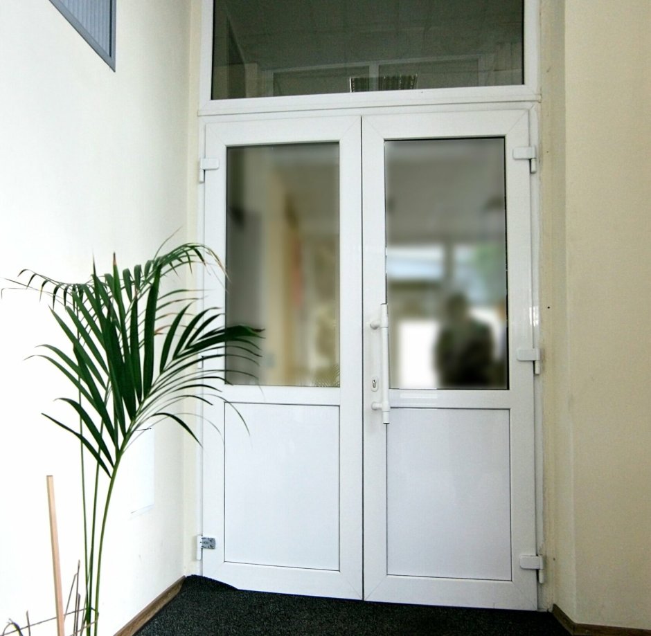 Дверь входная алюминиевая штульповая