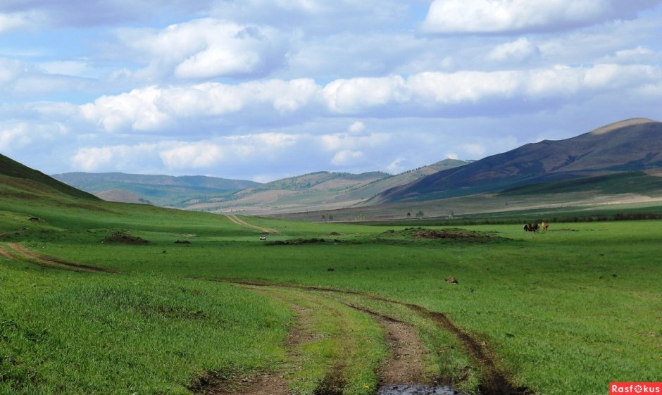 Даурский заповедник ландшафт