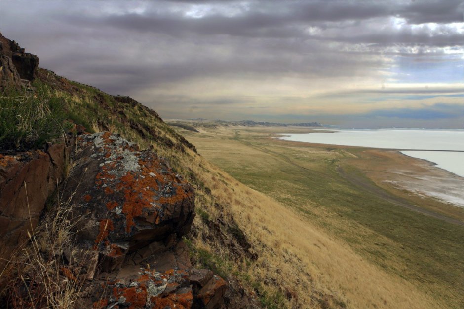 Заповедник Даурия Забайкальский край