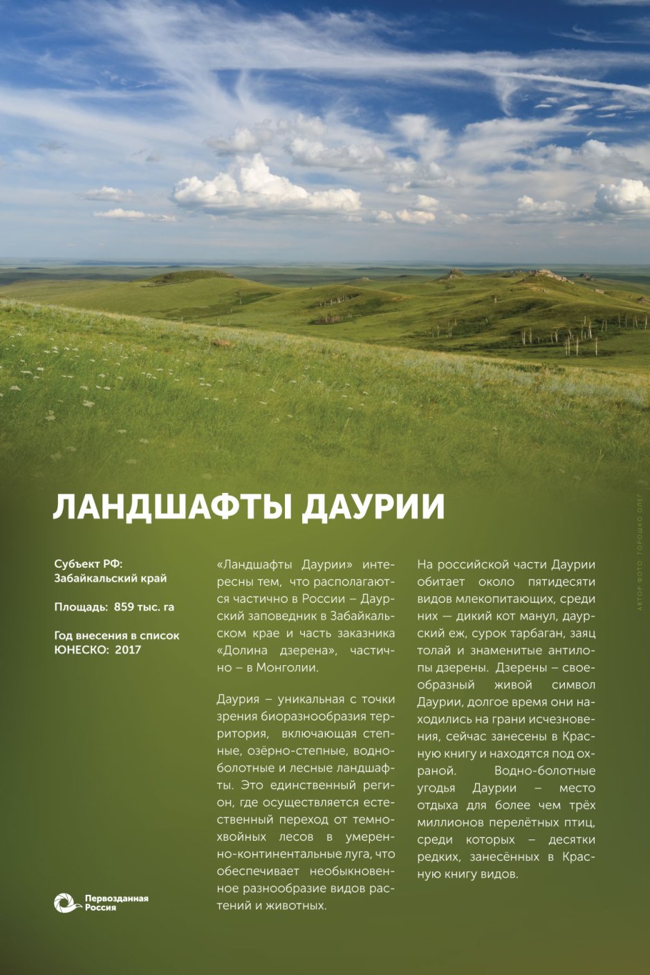 Международный заповедник Даурия