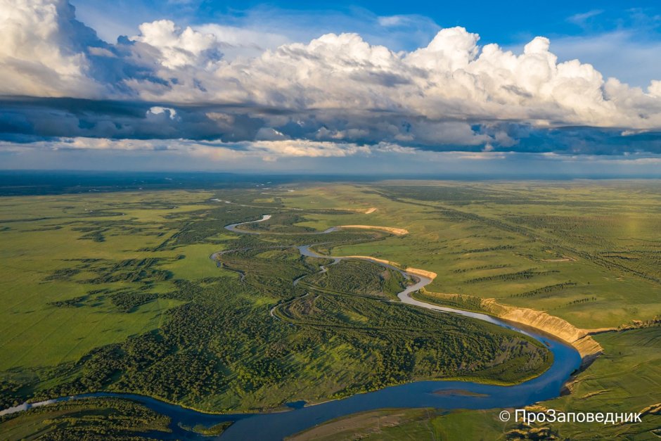 Заповедник Даурия Забайкальский край