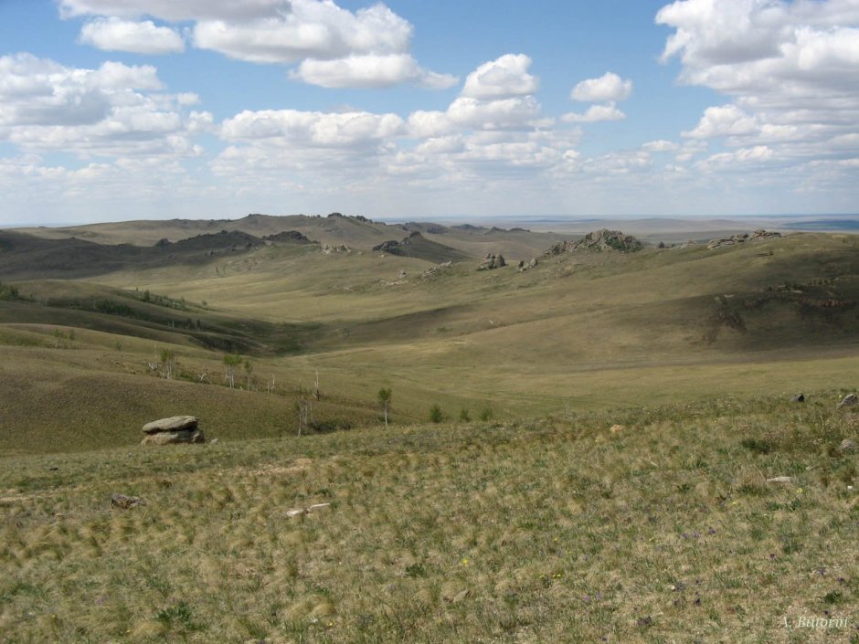 Заповедник Даурия Забайкальский край